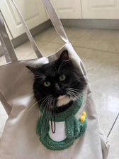 Foto del prodotto